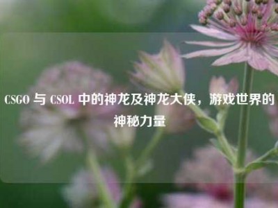 CSGO 与 CSOL 中的神龙及神龙大侠，游戏世界的神秘力量