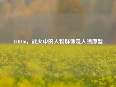 COD16，战火中的人物群像及人物原型