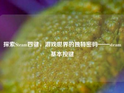 探索Steam四键，游戏世界的独特密码——steam基本按键