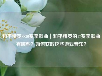 和平精英SS30赛季歌曲｜和平精英的17赛季歌曲有哪些？如何获取这些游戏音乐？