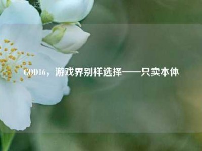 COD16，游戏界别样选择——只卖本体