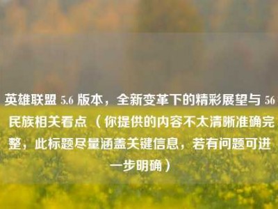 英雄联盟 5.6 版本，全新变革下的精彩展望与 56 民族相关看点 （你提供的内容不太清晰准确完整，此标题尽量涵盖关键信息，若有问题可进一步明确）