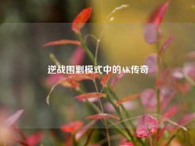 逆战围剿模式中的AK传奇