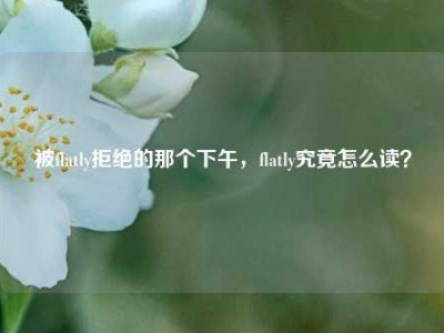被flatly拒绝的那个下午，flatly究竟怎么读？