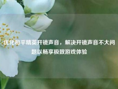 优化和平精英开镜声音，解决开镜声音不大问题以畅享极致游戏体验