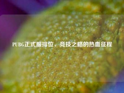 PUBG正式服排位，竞技之路的热血征程
