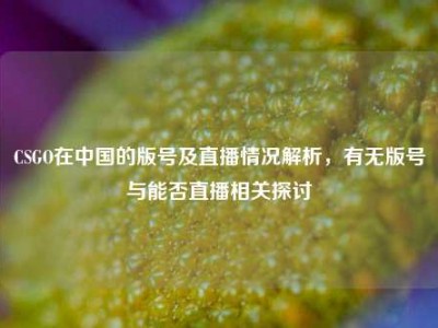 CSGO在中国的版号及直播情况解析，有无版号与能否直播相关探讨