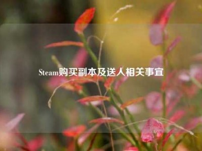 Steam购买副本及送人相关事宜
