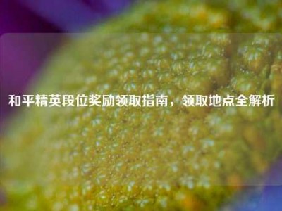 和平精英段位奖励领取指南，领取地点全解析