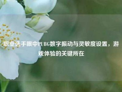 职业选手眼中PUBG数字振动与灵敏度设置，游戏体验的关键所在