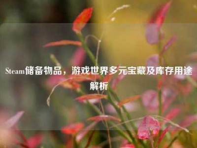 Steam储备物品，游戏世界多元宝藏及库存用途解析