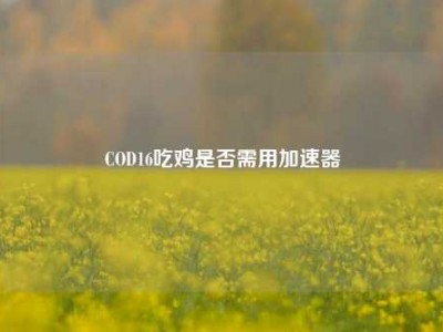COD16吃鸡是否需用加速器
