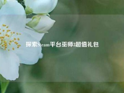 探索Steam平台巫师3超值礼包