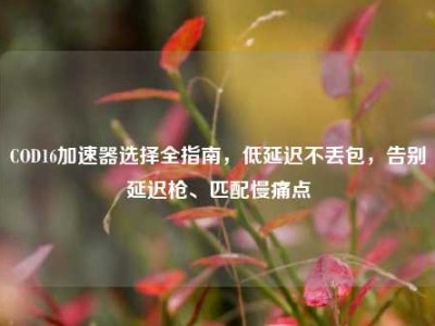 COD16加速器选择全指南，低延迟不丢包，告别延迟枪、匹配慢痛点