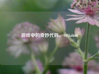 游戏中的奇妙代码，101lol666