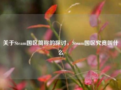 关于Steam国区简称的探讨，Steam国区究竟叫什么