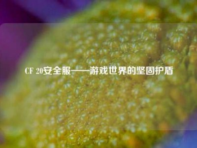 CF 20安全服——游戏世界的坚固护盾