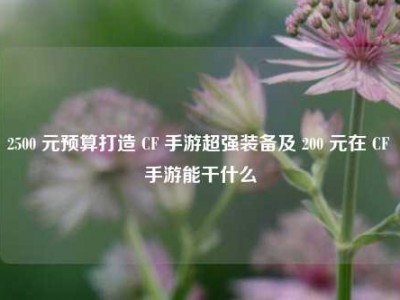 2500 元预算打造 CF 手游超强装备及 200 元在 CF 手游能干什么