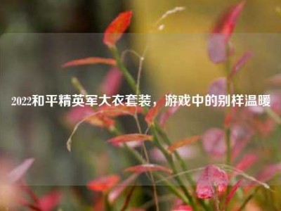 2022和平精英军大衣套装，游戏中的别样温暖