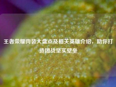 王者荣耀肉装大盘点及相关英雄介绍，助你打造团战坚实壁垒
