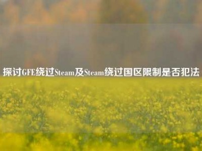 探讨GFE绕过Steam及Steam绕过国区限制是否犯法