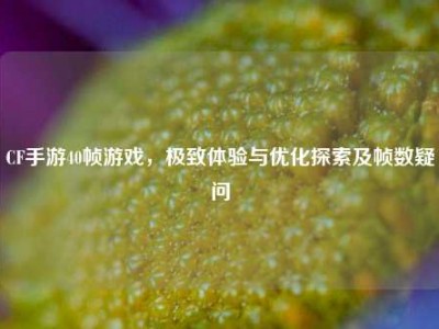 CF手游40帧游戏，极致体验与优化探索及帧数疑问