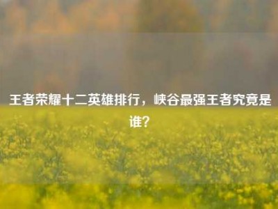 王者荣耀十二英雄排行，峡谷最强王者究竟是谁？