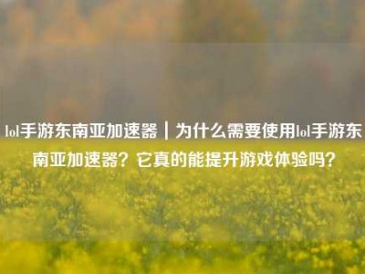 lol手游东南亚加速器｜为什么需要使用lol手游东南亚加速器？它真的能提升游戏体验吗？
