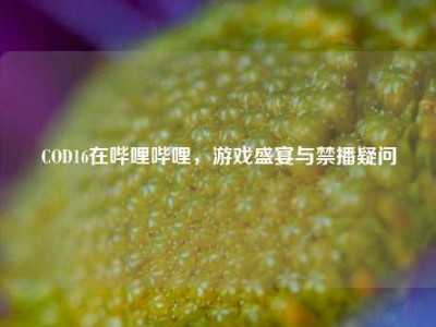 COD16在哔哩哔哩，游戏盛宴与禁播疑问