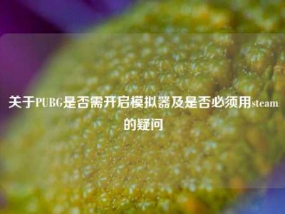 关于PUBG是否需开启模拟器及是否必须用steam的疑问