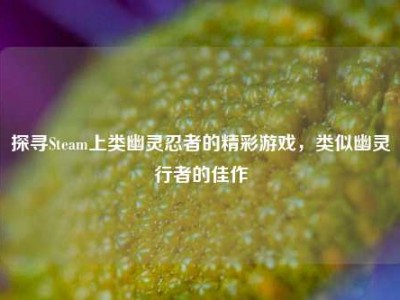 探寻Steam上类幽灵忍者的精彩游戏，类似幽灵行者的佳作
