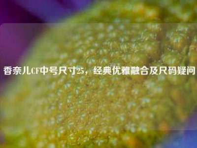 香奈儿CF中号尺寸25，经典优雅融合及尺码疑问