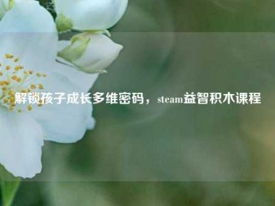 解锁孩子成长多维密码，steam益智积木课程