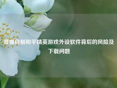 警惕自制和平精英游戏外设软件背后的风险及下载问题