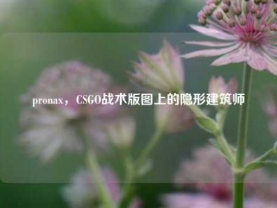 pronax，CSGO战术版图上的隐形建筑师