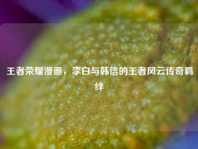 王者荣耀漫画，李白与韩信的王者风云传奇羁绊