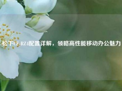 松下CF-RZ4配置详解，领略高性能移动办公魅力