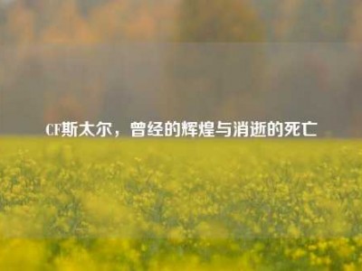 CF斯太尔，曾经的辉煌与消逝的死亡