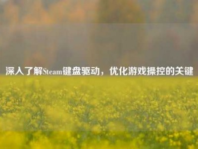 深入了解Steam键盘驱动，优化游戏操控的关键