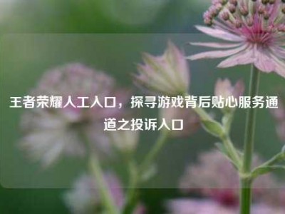 王者荣耀人工入口，探寻游戏背后贴心服务通道之投诉入口