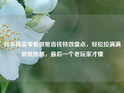 和平精英零氪微氪省钱特效盘点，轻松拉满满屏氛围感，最后一个老玩家才懂
