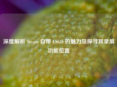 深度解析 Steam 自带 CSGO 的魅力及探寻其录屏功能位置