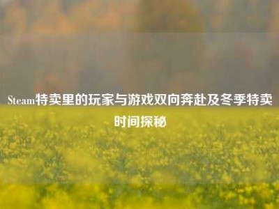 Steam特卖里的玩家与游戏双向奔赴及冬季特卖时间探秘