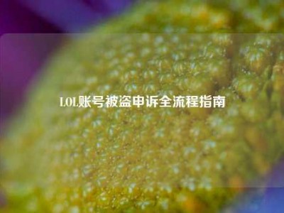 LOL账号被盗申诉全流程指南