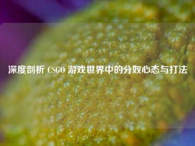 深度剖析 CSGO 游戏世界中的分奴心态与打法