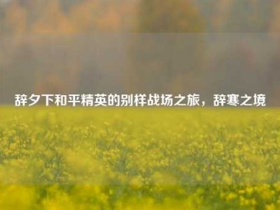 辞夕下和平精英的别样战场之旅，辞寒之境
