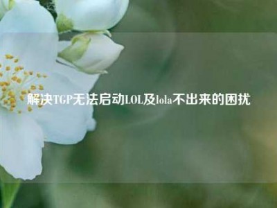 解决TGP无法启动LOL及lola不出来的困扰