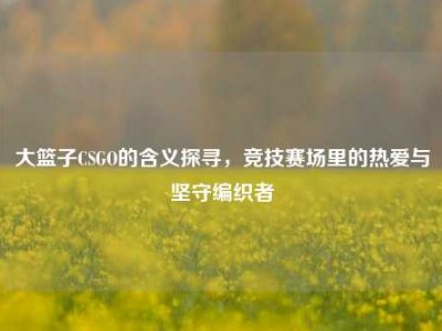 大篮子CSGO的含义探寻，竞技赛场里的热爱与坚守编织者