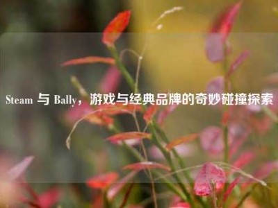 Steam 与 Bally，游戏与经典品牌的奇妙碰撞探索