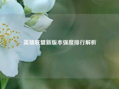 英雄联盟新版本强度排行解析